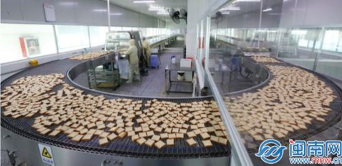 新质生产力在泉州丨专访全国人大代表蔡金钗 向新求质 传统食品行业向绿色智造转型发展